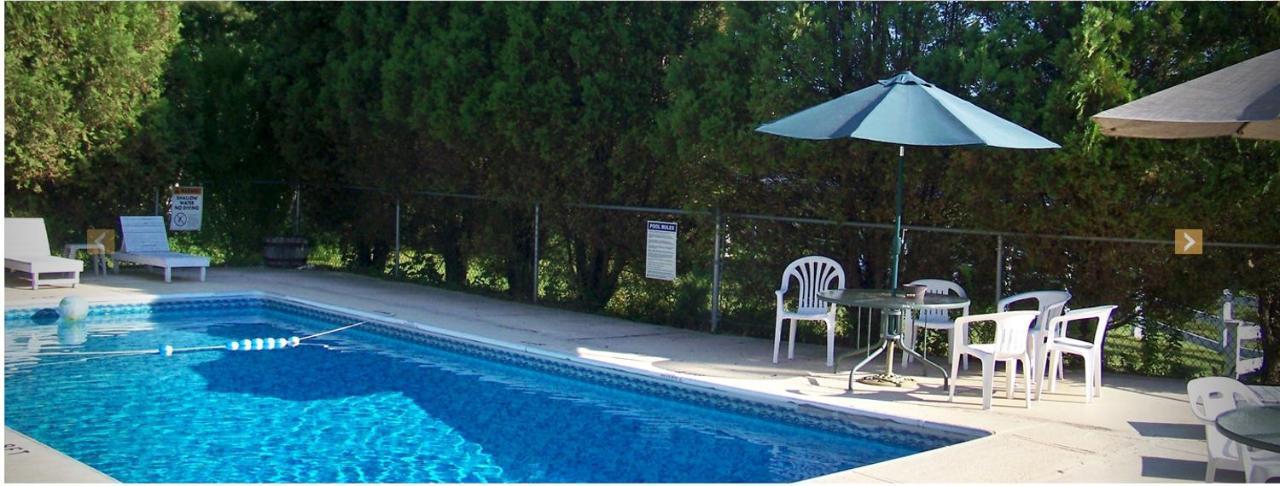 Mount Whittier Motel Center Ossipee Extérieur photo